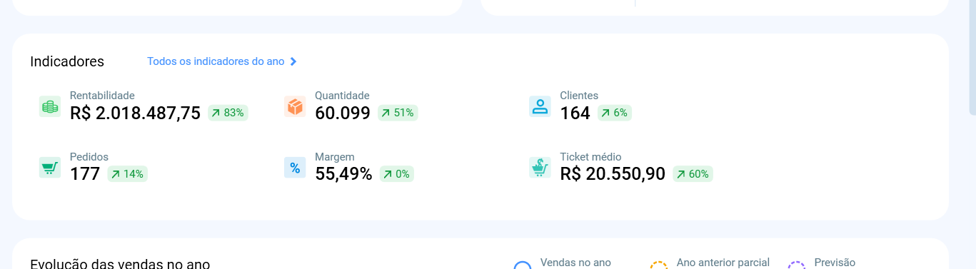 Bloco Indicadores do Resumo do Ano, com rentabilidade, quantidade, clientes, pedidos, margem e ticket médio